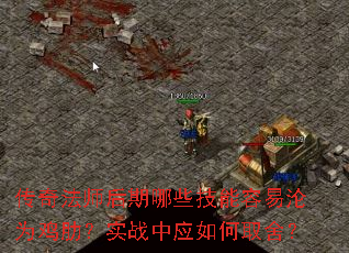 传奇法师后期哪些技能容易沦为鸡肋?实战中应如何取舍? 传奇法师后期哪些技能容易沦为鸡肋?实战中应如何取舍?