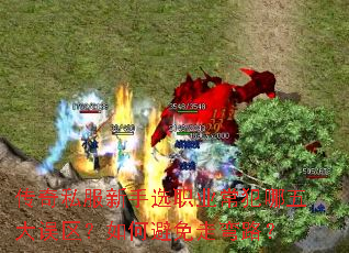 ˽ѡְҵα·