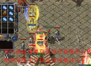 ŭǿ߻ȡ;ЩϷַЧռɣ
