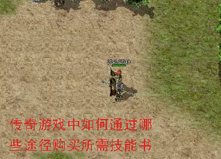 ϷͨЩ;輼