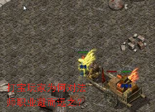 ΪζԷʦְҵܶԶ֮