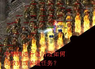 ڿ׶θЧɹؼ