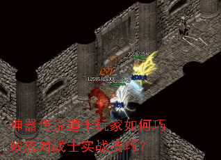 ˵ʿӦսʿʵսɣ