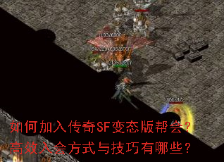 μ봫SF̬᣿Ч᷽ʽ뼼Щ