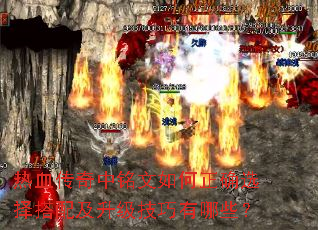 Ѫȷѡ估Щ