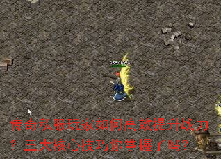 ˽θЧսļ
