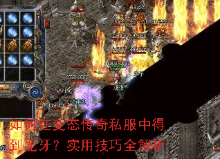 ڱ̬˽еõʵüȫ