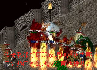 ˽PKӦȥŶսصЩƼ