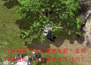 1400祖玛卫士在哪里刷新?击败1400祖玛卫士有哪些实用技巧? 1400祖玛卫士在哪里刷新?击败1400祖玛卫士有哪些实用技巧?