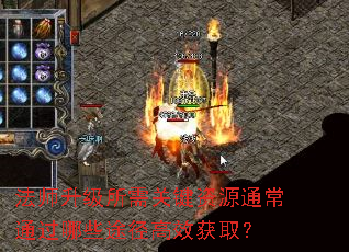 法师升级所需关键资源通常通过哪些途径高效获取? 法师升级所需关键资源通常通过哪些途径高效获取?