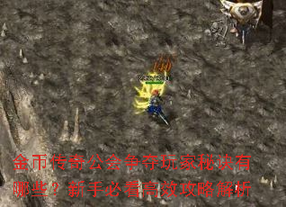 金币传奇公会争夺玩家秘诀有哪些?新手必看高效攻略解析 金币传奇公会争夺玩家秘诀有哪些?新手必看高效攻略解析