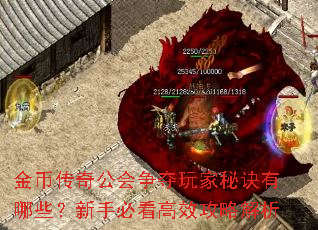 金币传奇公会争夺玩家秘诀有哪些?新手必看高效攻略解析 金币传奇公会争夺玩家秘诀有哪些?新手必看高效攻略解析