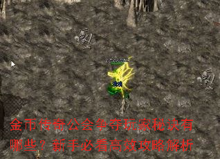 金币传奇公会争夺玩家秘诀有哪些?新手必看高效攻略解析 金币传奇公会争夺玩家秘诀有哪些?新手必看高效攻略解析