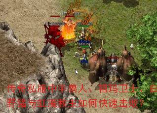 传奇私服中半兽人、祖玛卫士、白野猪与虹魔教主如何快速击败? 传奇私服中半兽人、祖玛卫士、白野猪与虹魔教主如何快速击败?