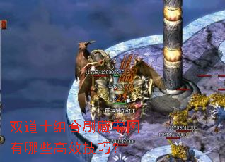 双道士组合刷藏宝图有哪些高效<a href=