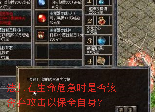 法师在生命危急时是否该舍弃攻击以保全自身? 法师在生命危急时是否该舍弃攻击以保全自身?