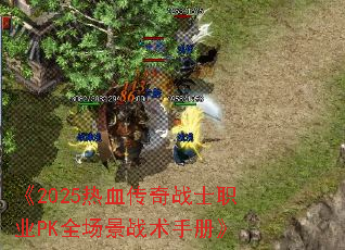 《2025热血传奇战士职业PK全场景战术手册》 《2025热血传奇战士职业PK全场景战术手册》