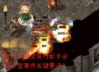 ˽ֱעЩؼҪ㣿