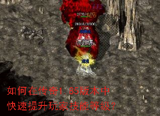如何在传奇1.85版本中快速提升玩家技能等级? 如何在传奇1.85版本中快速提升玩家技能等级?