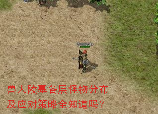 兽人陵墓各层怪物分布及应对策略全知道吗? 兽人陵墓各层怪物分布及应对策略全知道吗?