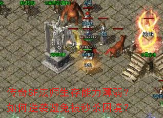 SFʦϮⱻɱ