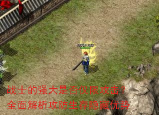 战士的强大是否仅限攻击?全面解析攻防生存隐藏优势 战士的强大是否仅限攻击?全面解析攻防生存隐藏优势