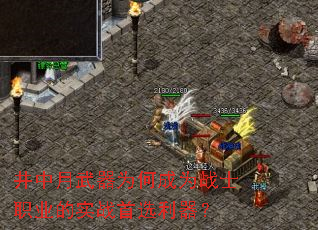 ΪγΪսʿְҵʵսѡ