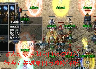 ɢҺΪαл᣿ؼԭ빥Խ