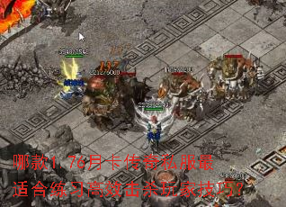 Ŀ1.76¿˽ʺϰЧɱҼɣ