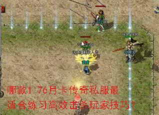 Ŀ1.76¿˽ʺϰЧɱҼɣ