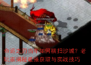 ֮еκɨɳǣҽǿȡʵս