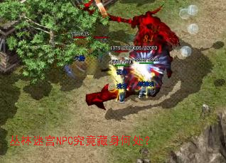 丛林迷宫NPC究竟藏身何处? 丛林迷宫NPC究竟藏身何处?