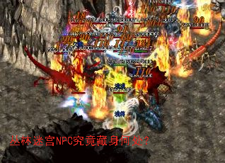 丛林迷宫NPC究竟藏身何处? 丛林迷宫NPC究竟藏身何处?