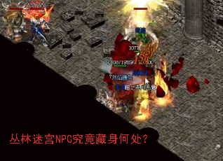 丛林迷宫NPC究竟藏身何处? 丛林迷宫NPC究竟藏身何处?