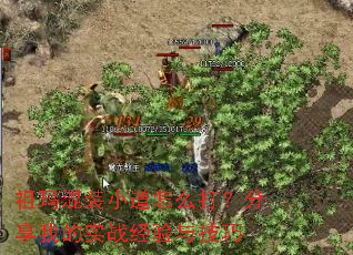 祖玛混装小道怎么打?分享我的实战经验与技巧 祖玛混装小道怎么打?分享我的实战经验与技巧