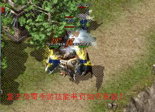 复古传奇手游技能书页如何获取? 复古传奇手游技能书页如何获取?