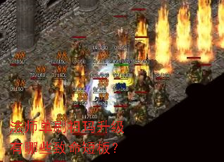 法师单刷祖玛升级有哪些致命短板? 法师单刷祖玛升级有哪些致命短板?