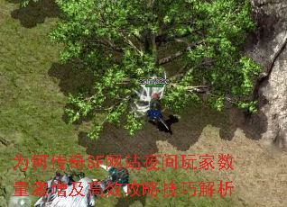 为何传奇SF网站夜间玩家数量激增及高效攻略技巧解析 为何传奇SF网站夜间玩家数量激增及高效攻略技巧解析