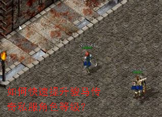 如何快速提升骏马传奇私服角色等级? 如何快速提升骏马传奇私服角色等级?