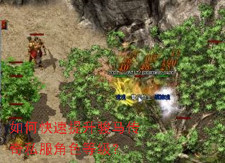 如何快速提升骏马传奇私服角色等级? 如何快速提升骏马传奇私服角色等级?
