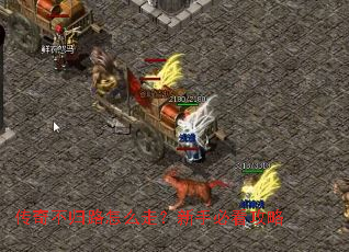 传奇不归路怎么走?新手必看攻略 传奇不归路怎么走?新手必看攻略