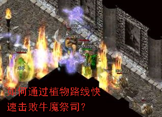 如何通过植物路线快速击败牛魔祭司? 如何通过植物路线快速击败牛魔祭司?