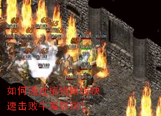 如何通过植物路线快速击败牛魔祭司? 如何通过植物路线快速击败牛魔祭司?