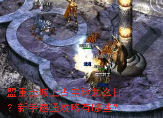 盟重土城上古宝地怎么打?新手速通攻略有哪些? 盟重土城上古宝地怎么打?新手速通攻略有哪些?
