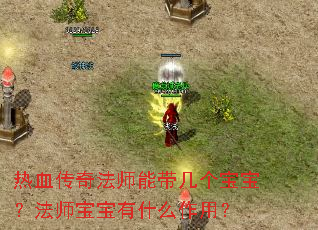 热血传奇法师能带几个宝宝?法师宝宝有什么作用? 热血传奇法师能带几个宝宝?法师宝宝有什么作用?