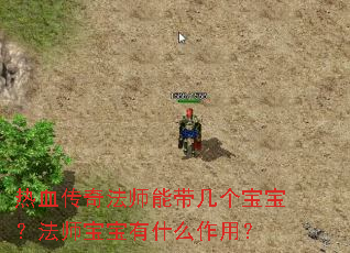 热血传奇法师能带几个宝宝?法师宝宝有什么作用? 热血传奇法师能带几个宝宝?法师宝宝有什么作用?