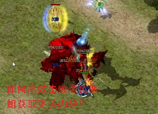 ��θ�Ч���ܺ�ɫ������ȡ������飿