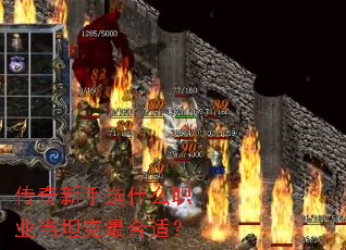 ��������ѡʲôְҵ��̹������ʣ�