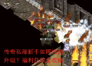 ����˽��������ο���������������ȡȫ����