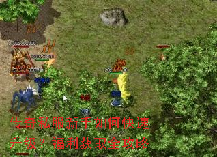 ����˽��������ο���������������ȡȫ����